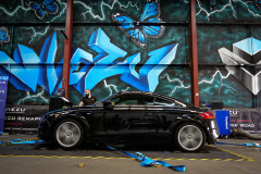 Audi-TT-Remap-Dyno-46