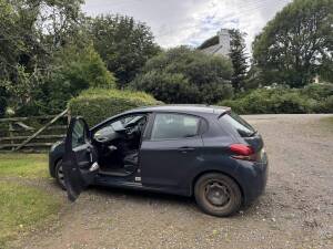 Peugeot 208 Adblue Delete and countdown reset