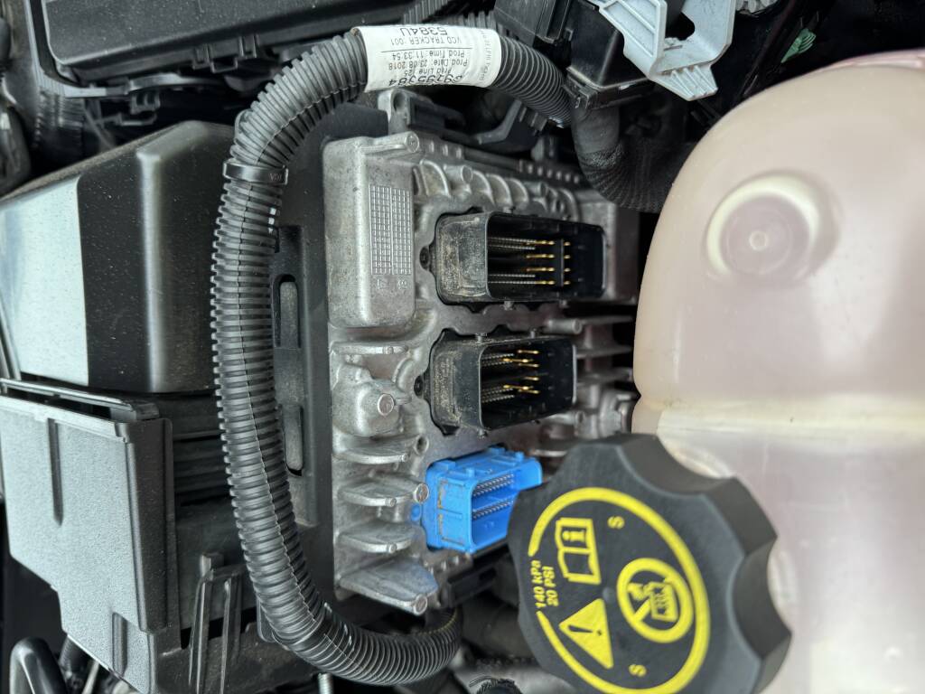 Kernowsport mobile ECU service at Monkey Tree Holiday Park Newquay Cornwall